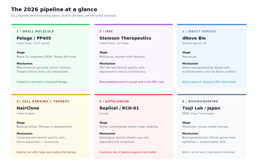 Six hair cloning pipeline programs compared: Stemson, dNovo, Pelage, HairClone, Replicel, Tsuji