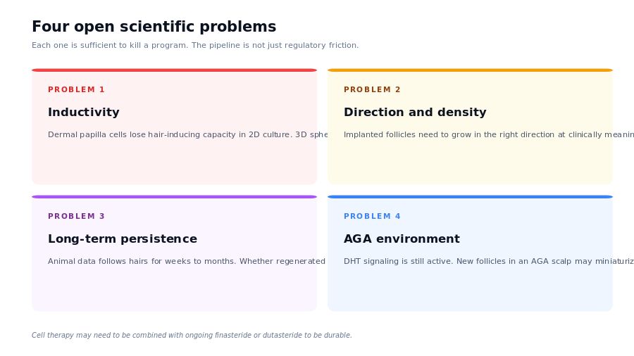 Four open scientific problems for hair cloning therapies: inductivity, direction, persistence, AGA environment