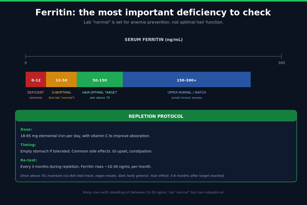 Ferritin hair loss target range and supplementation guide