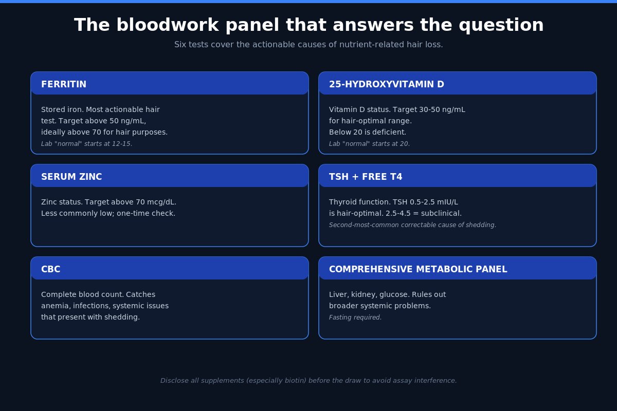 Hair loss bloodwork panel - ferritin vitamin D zinc TSH CBC CMP