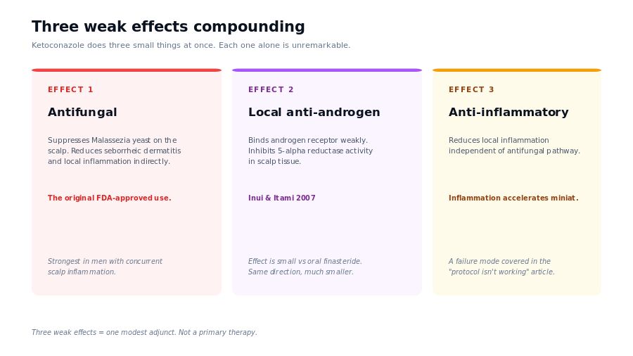 Three mechanisms of ketoconazole shampoo