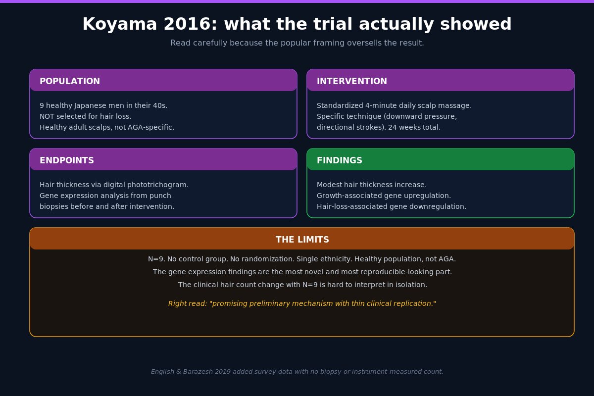 Koyama 2016 scalp massage hair trial summary
