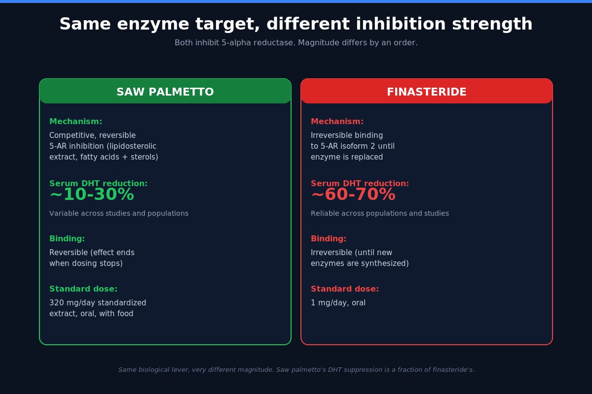 Saw palmetto vs finasteride mechanism comparison - 5-alpha reductase inhibition strength