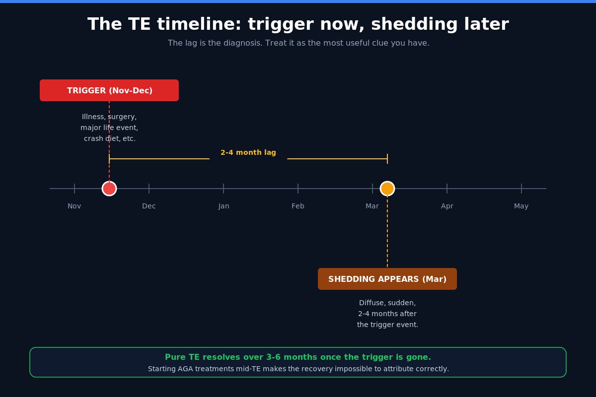 Telogen effluvium timeline showing 2 to 4 month lag between trigger and shedding