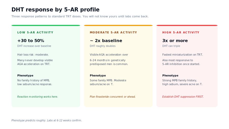 DHT increase under TRT: low, moderate, and high 5-AR responder profiles