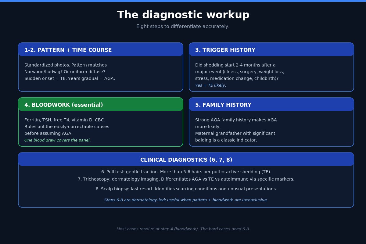 Diagnostic workup steps for diffuse thinning