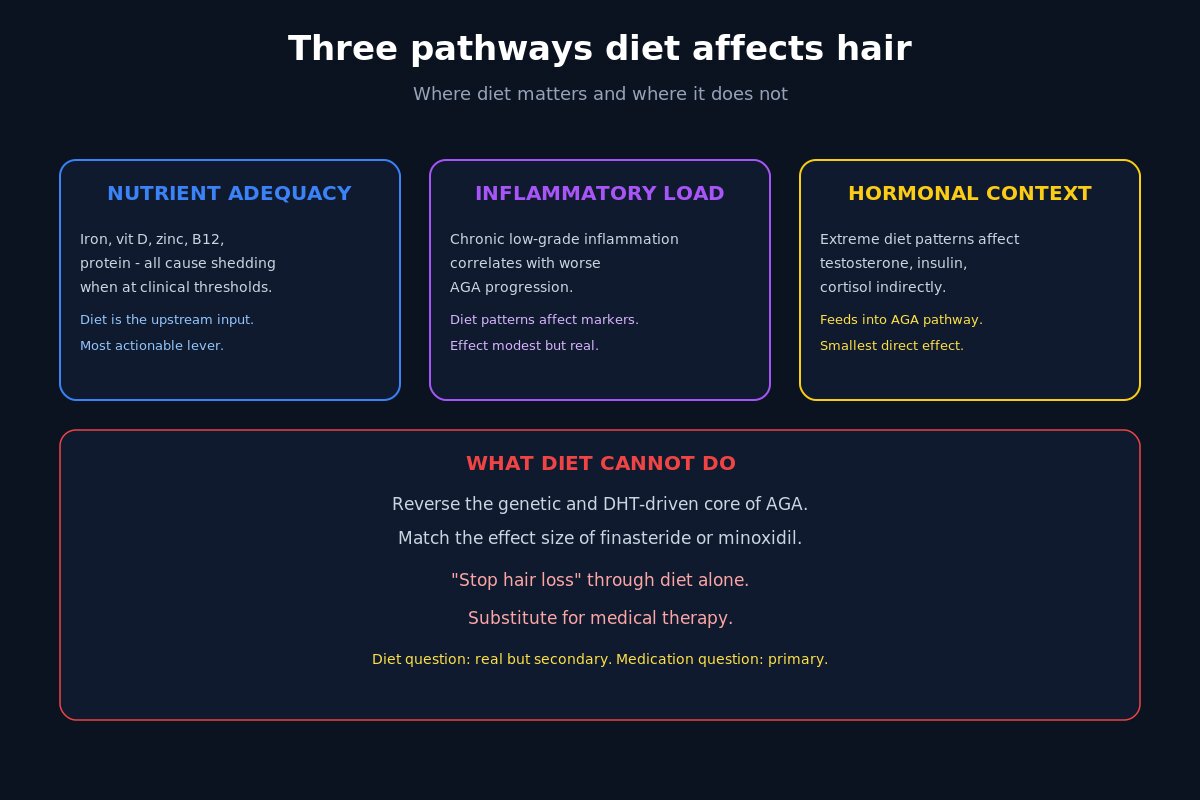 Three pathways diet affects hair