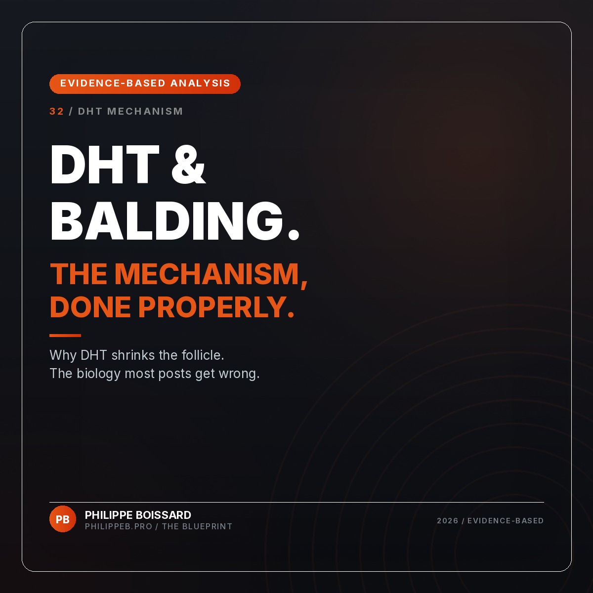 DHT and Male Pattern Baldness - evidence-based hair loss analysis by Philippe Boissard, philippeb.pro